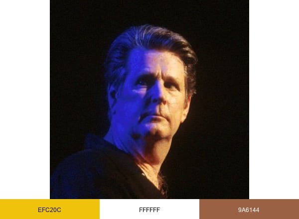 Brian Wilson brand color palette