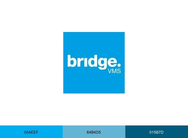 Bridge VMS brand color palette