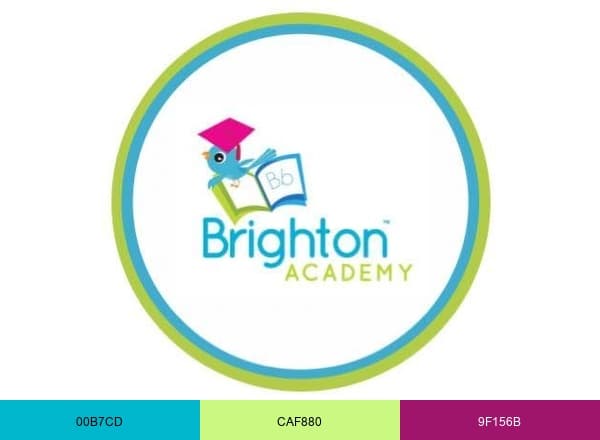 Brighton Academy brand color palette
