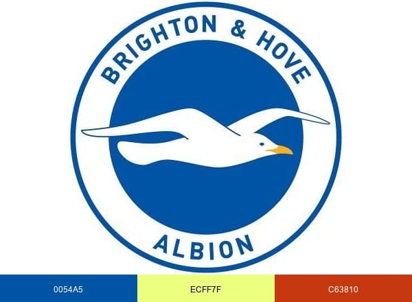 Brighton & Hove Albion brand color palette