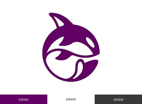 Bright Orca brand color palette