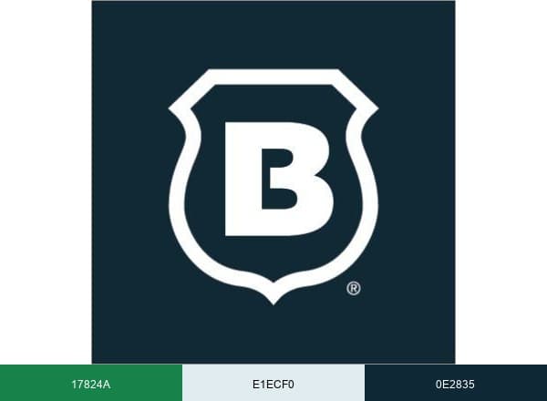 Brinks Home brand color palette