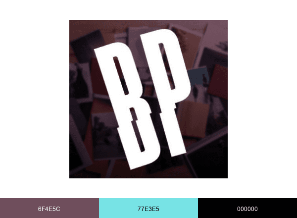 BrokenPencilMagazine brand color palette