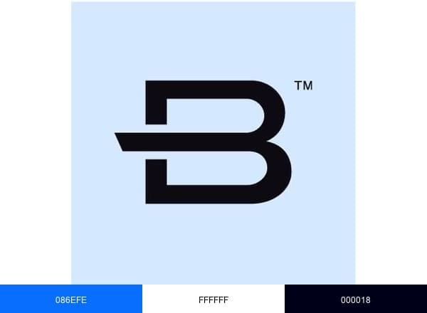 Brunswick Corporation brand color palette
