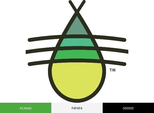 BrynmorEarlyEd brand color palette