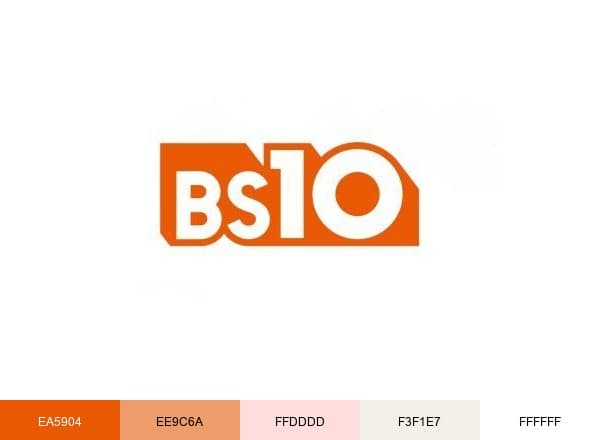 BS10 brand color palette