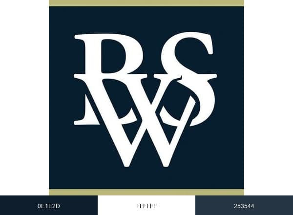 BSW brand color palette
