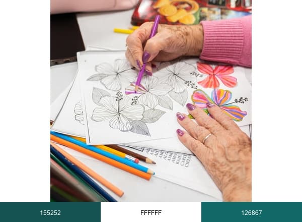 Buena Vida Adult Day Health Center brand color palette