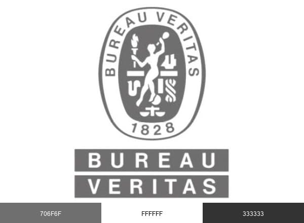 Bureau Veritas Group brand color palette