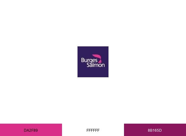 Burges Salmon LLP brand color palette