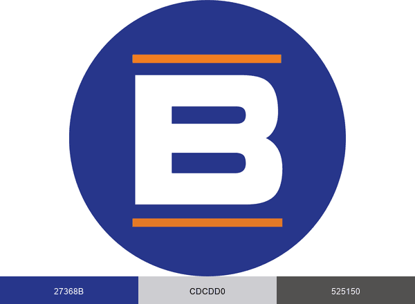 Burgess Construction Consultants brand color palette