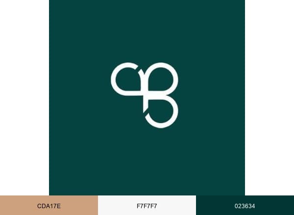 Business Setup Worldwide brand color palette