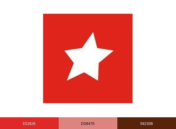 BUSR brand color palette