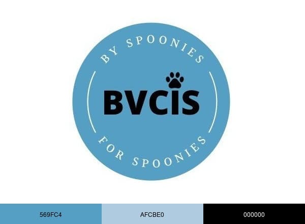 BVCIS brand color palette