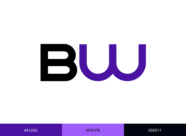 Blackwire Designs brand color palette