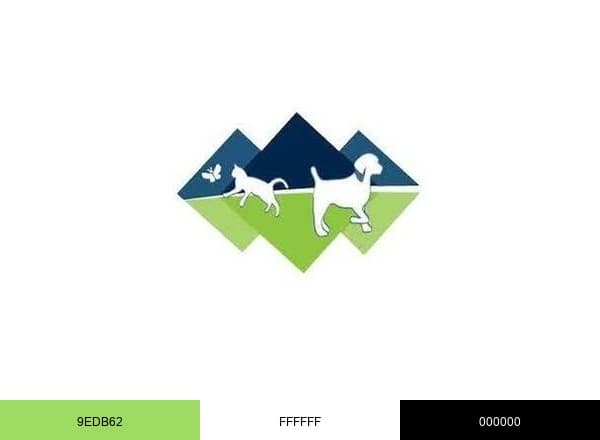 Byron Pet Clinic brand color palette