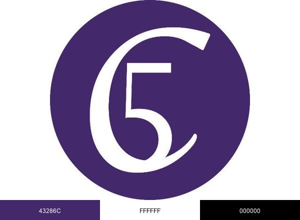 C5Collective brand color palette