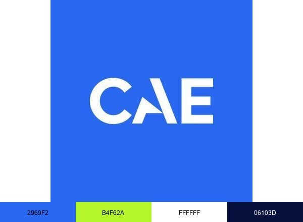 CAE brand color palette