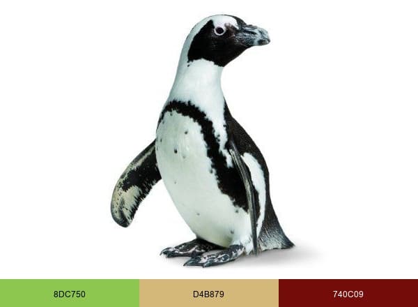 California Academy of Sciences brand color palette