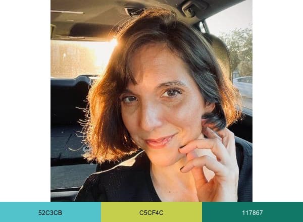 Callie Lipkin brand color palette