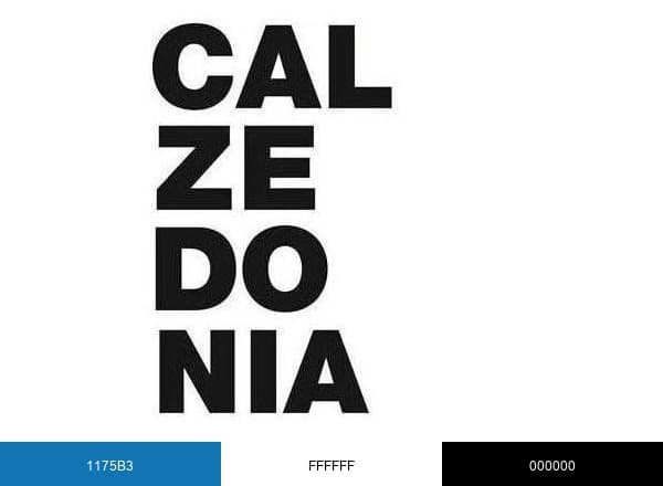 Calzedonia brand color palette