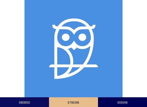 CambriLearn brand color palette