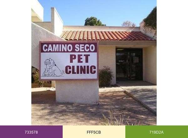 Camino Seco PC brand color palette
