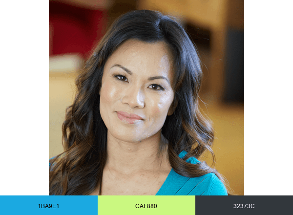 CareWorks Health Services brand color palette