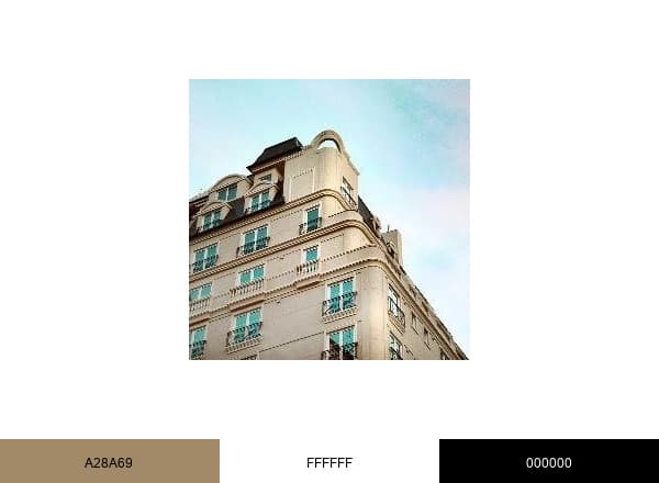 CARLES Hotel brand color palette
