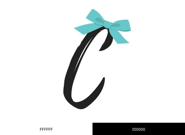 CarryOnBox brand color palette