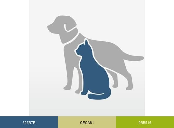Cascade Park Animal Hospital brand color palette
