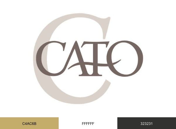 Cato Fashions brand color palette