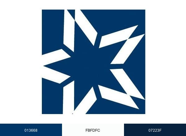 Christian Brothers Services brand color palette