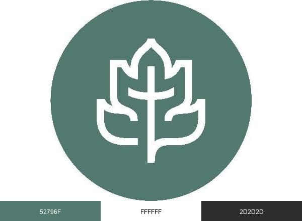 CCEF brand color palette