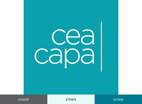 CEA CAPA Education Abroad brand color palette