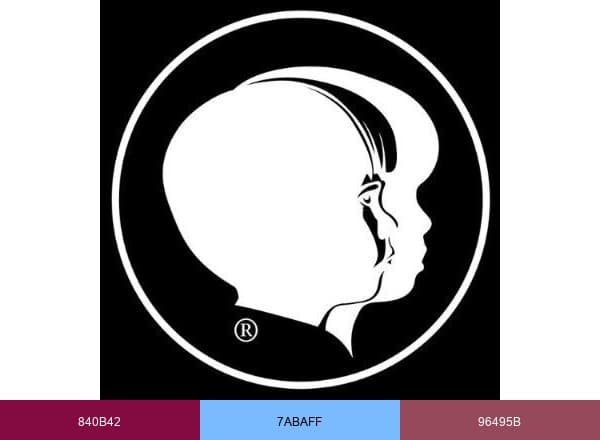 Child Evangelism Fellowship Inc. brand color palette