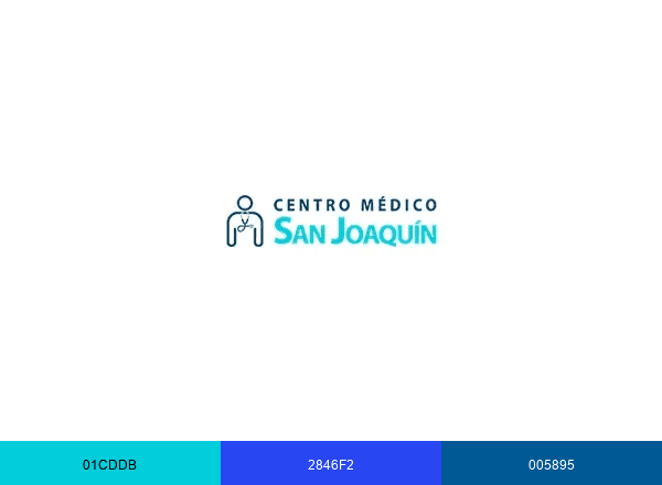 Centro Médico San Joaquín brand color palette