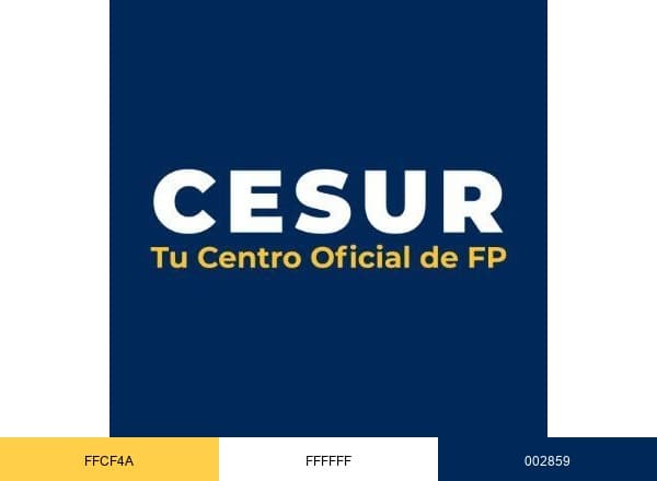 CESUR. Tu Centro Oficial de Formación Profesional brand color palette