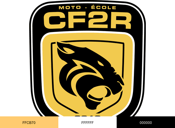 CF2R brand color palette
