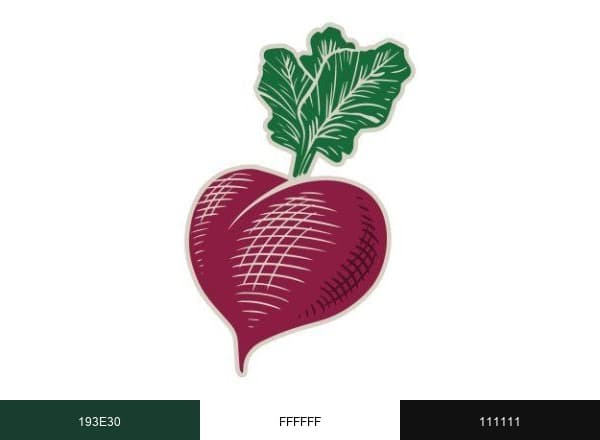 Choices Market brand color palette