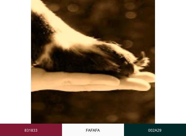 Caring Hands brand color palette