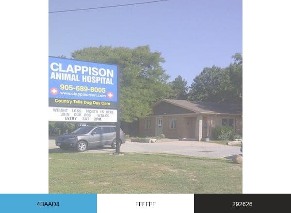 Clappison Vet brand color palette