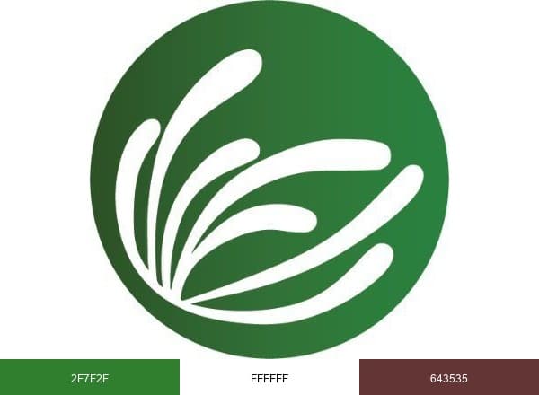 Climate Strategies brand color palette