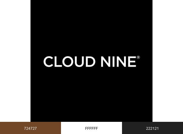 Cloud Nine Chair brand color palette