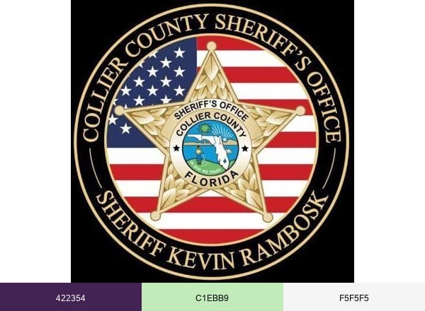 Collier County Sheriff brand color palette