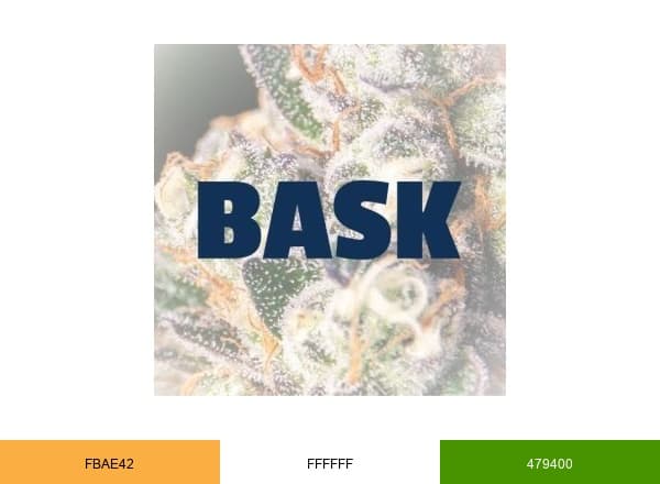 Bask brand color palette