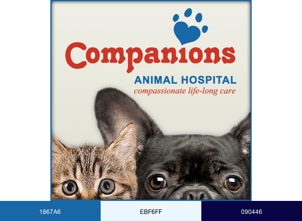 Companions Team brand color palette