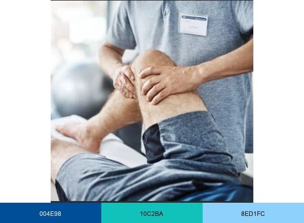 Compass Physical Therapy brand color palette