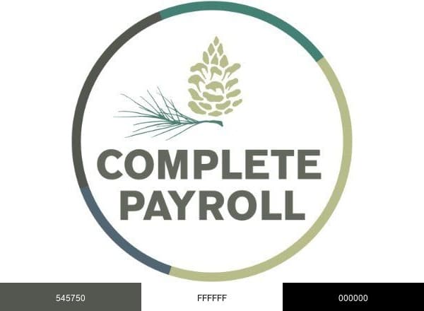 Complete Payroll brand color palette