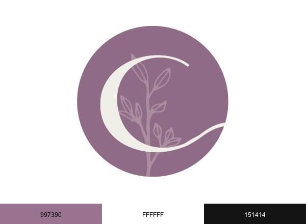 Concept Pelvic Health brand color palette